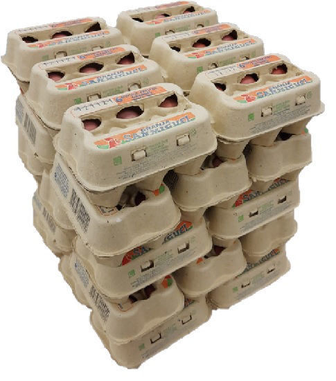 Imagen de Pack x 15 docenas en estuches de huevos grandes BLANCOS de 64 grs. promedio.